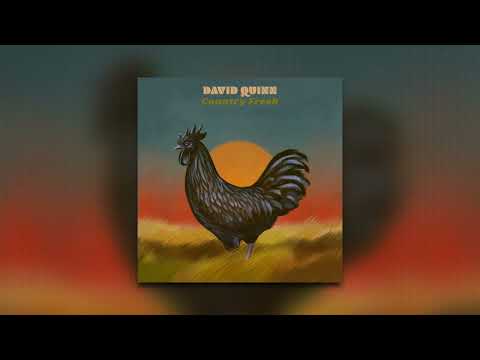 Boy From Illinois - David Quinn