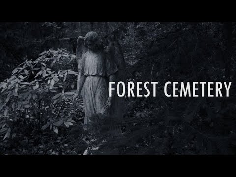 "Forest cemetery " - Motivsuche in stiller Respekt