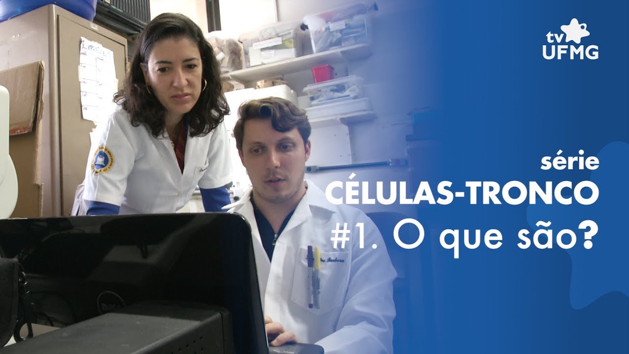 Células-tronco - Laboratório de Angiogênese da UFMG