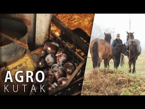 Agro Kutak 42 - Vodenica, šljive i konji