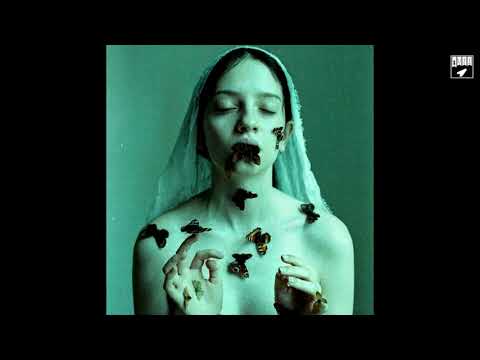 Tkivilsaari - The Questions