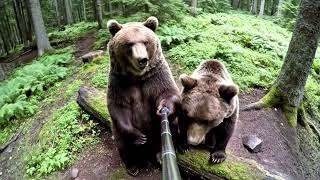 when the forest gas hits mid-hike and suddenly you can hear tree thoughts 🌲💨 #bearvlog #bear #ai