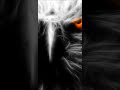 Eagle Artwork Live Wallpaper Neon Eagle Wallpapers