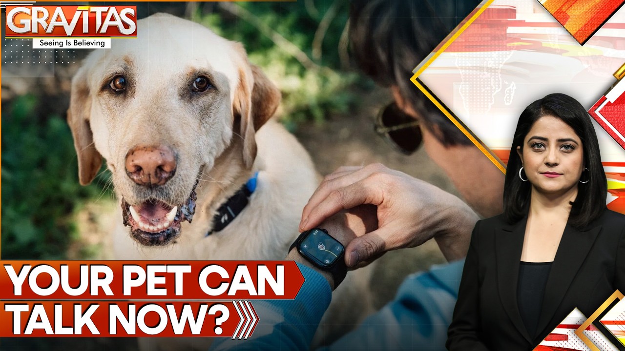 China’s AI Pet Collar Claims to Translate Barks and Meows Into Human Language | GRAVITAS