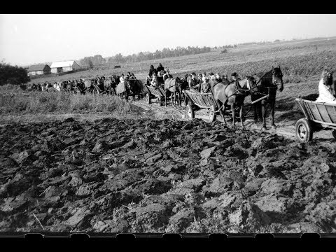 Retro  wesela  w  Szynwałdzie.