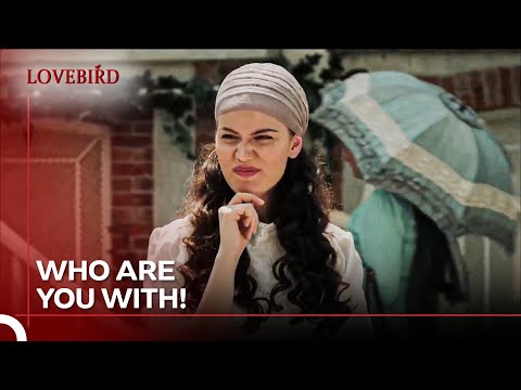 I'll Find Out Who Your Lover Is - Lovebird Episode 3