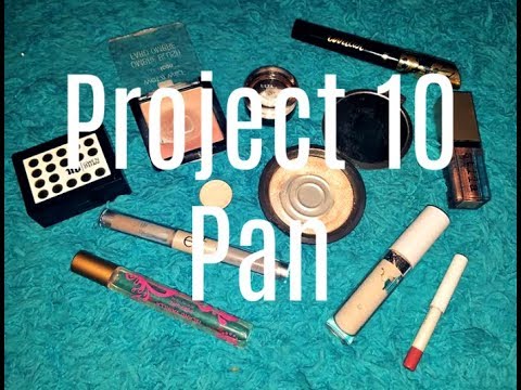 Project 10 Pan INTRO! | Collab w/ Beauty By Mary K