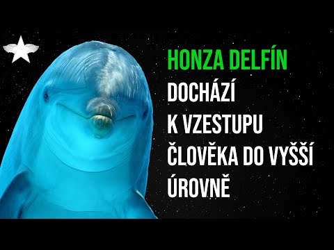 Honza Delfín: Dochází k vzestupu člověka do vyšší úrovně