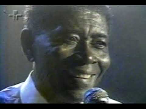 Ensaio com Noite Ilustrada