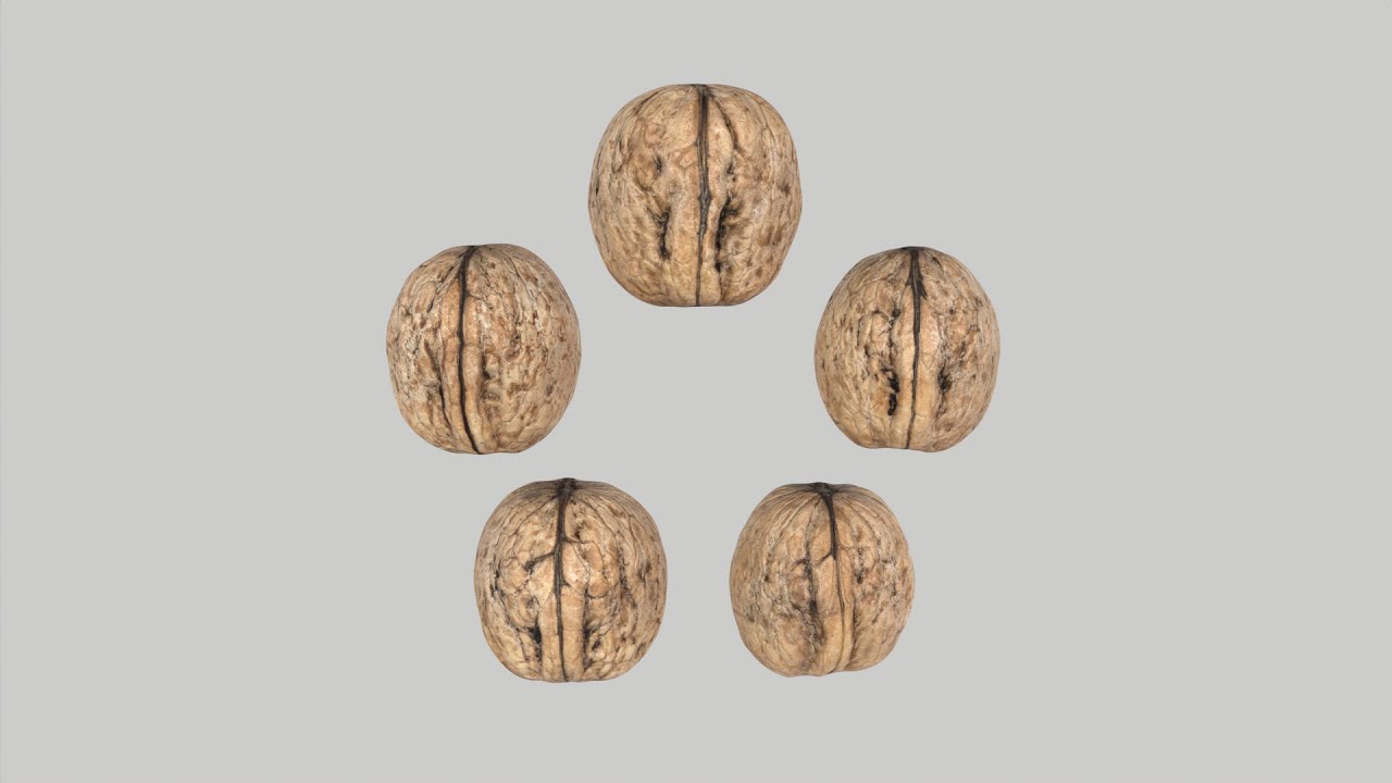 Walnuts 3D Model