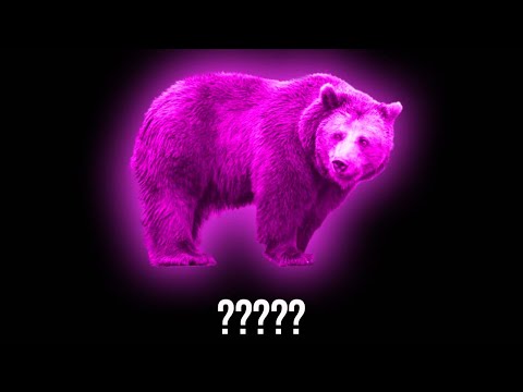 20 Bear "Roar" Sound Variations in 30 Seconds | MODIFY EVERYTHING