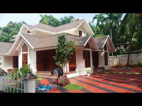 download lagu mp3 mp4 Ficus Benjamina Black, download lagu Ficus Benjamina Black gratis, unduh video klip Ficus Benjamina Black