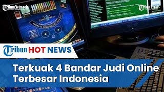 Kendalikan Sampai Luar Negeri, Identitas 4 Bandar Besar Judi Online di Indonesia