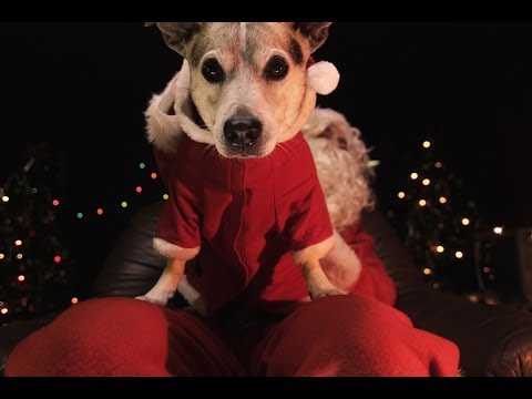 Untertagen - Fröhliche Weihnacht? (Official Video)