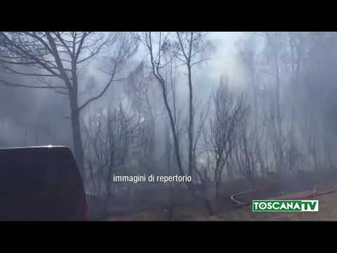 2020-08-06 GROSSETO - TRE INCENDI NELLA NOTTE NELLA PINETA DI MARINA