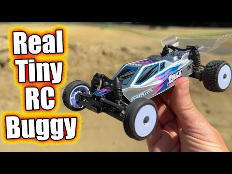 Cheap Micro RC Race Car Everyone Needs! Losi Micro-B