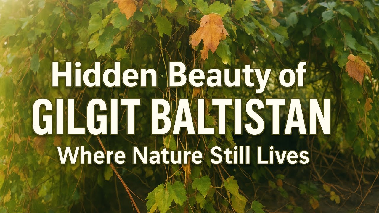 Hidden Beauty of Gilgit Baltistan | Peaceful Nature & Green Mountains #travel #gilgitbaltistan
