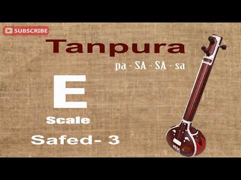 Tanpura E Scale | Safed 3 | Tanpura | Big Banyan Tree
