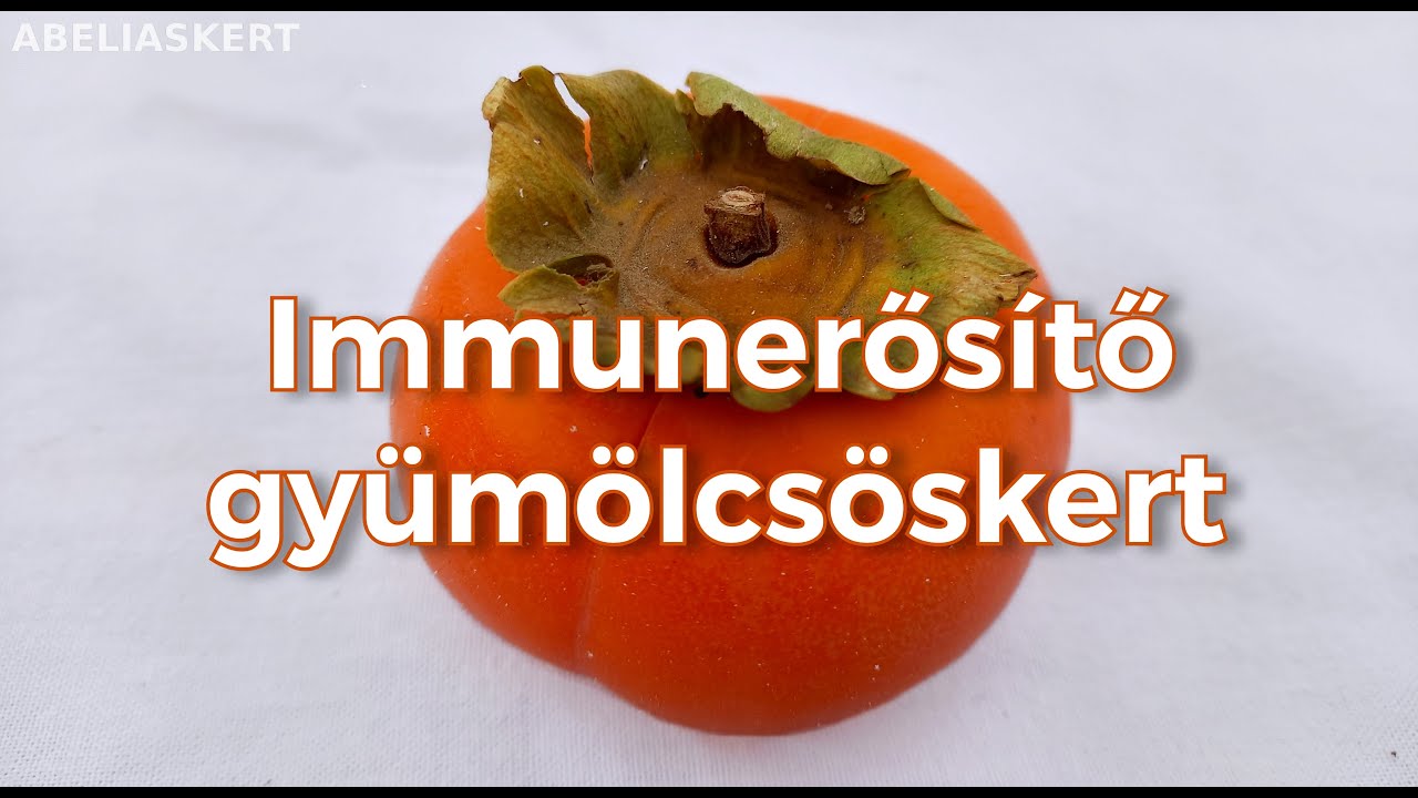 Immunerősítő gyümölcsöskert