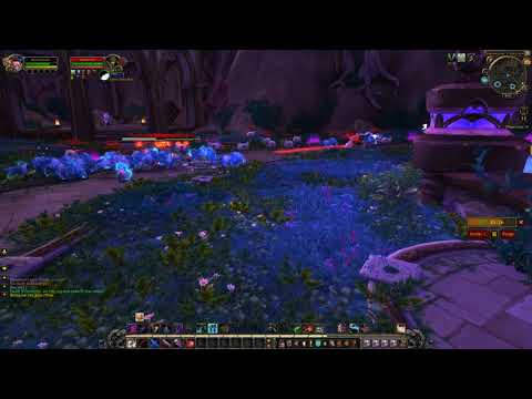 Wow Legion Botter/Hacker/Multiboxer