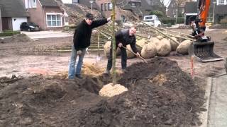 preview picture of video 'Eerste boom planten Caeciliahof America'