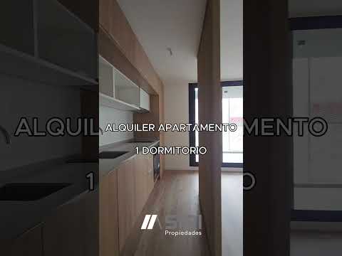 Video de YouTube - Alquiler de aprtamento 1 dormitorio, en Cordón Sur