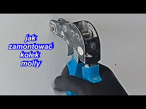 jak zamontować kołek molly