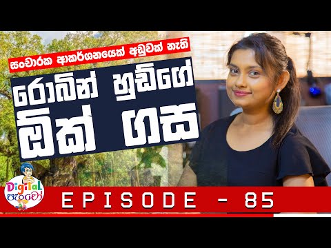 Neth FM - Digital පැංචෝ | Digital Pancho - Episode 85