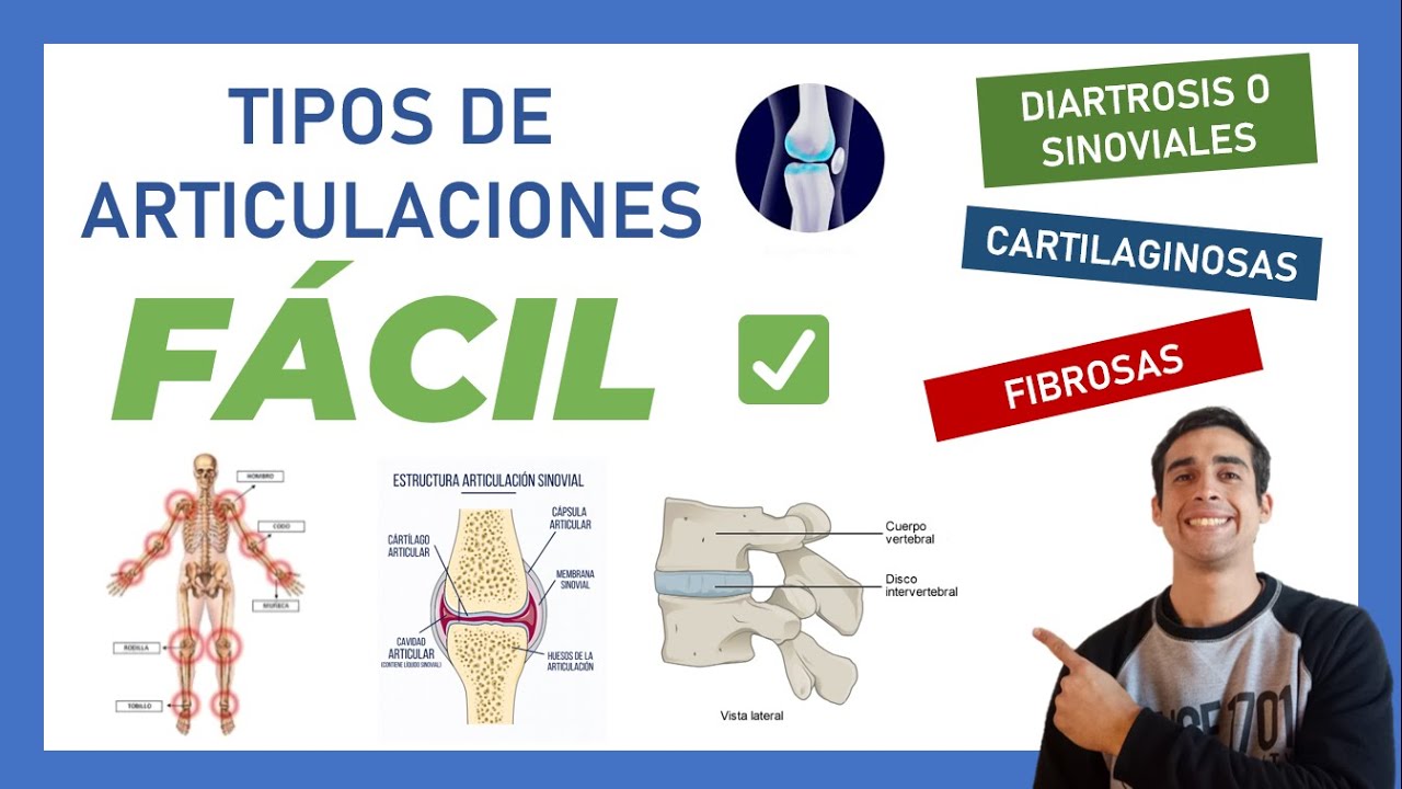 ✅ 2 ARTICULACIONES | QUE SON | TIPOS | CLASIFICACIÓN (Facil Rapido Sencillo)