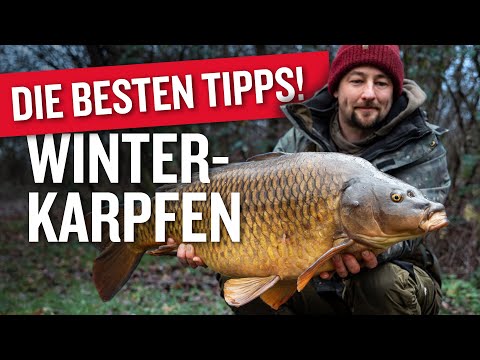Karpfenangeln im Winter: DIESE TIPPS machen den Unterschied! ❄️🔥