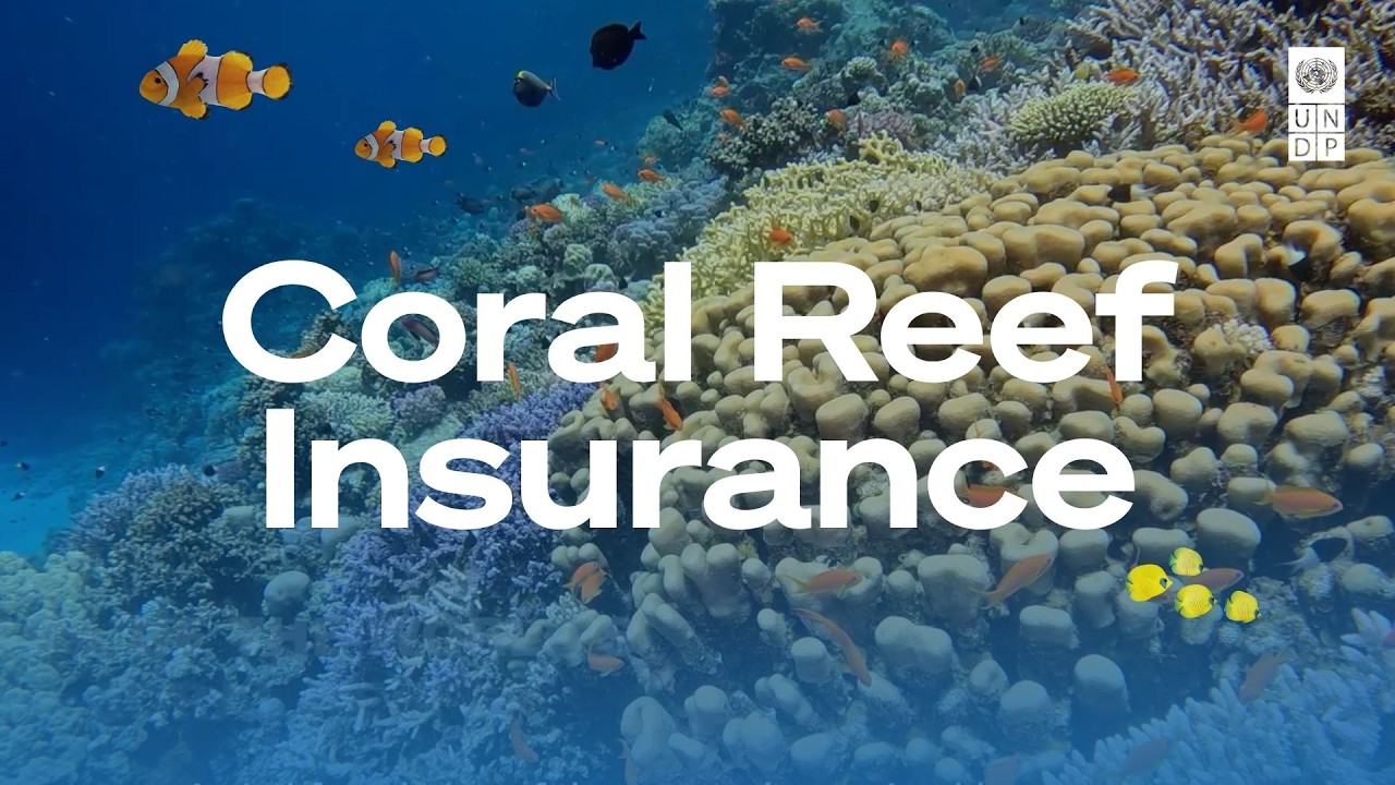 Coral Reef Insurance for Resilient Coastal Communities