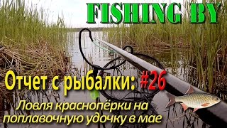 Ловля красноперки в начале мая