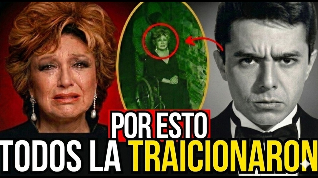 YouTube Thumbnail Downloader FULL HQ IMAGE