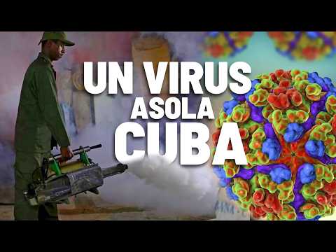 CHIKUNGUNYA: THE "ZOMBIE" VIRUS THAT EXPOSES CUBA