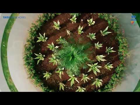 3D Tour Of Tata Sense 66