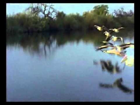 Shakira & All Stars Generation  - Waka Waka (This Time For Africa) (MTi Remix Cut)