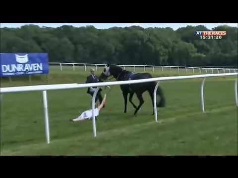 Hayley Moore - At The Races presenter amazingly catches loose horse