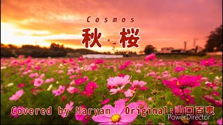 秋桜/山口百恵　歌ってみた　cover by Maryam