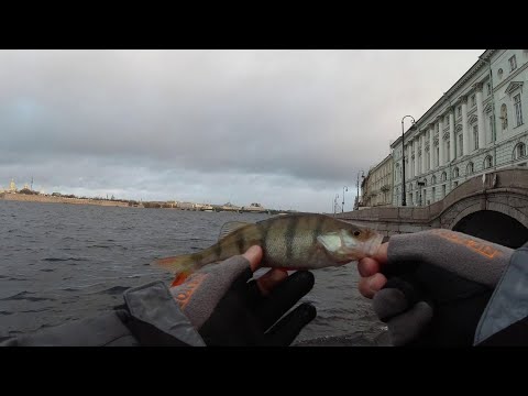 FCS-T682AJI 0.6-10 грамм