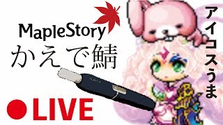 メイプルストーリー5日目