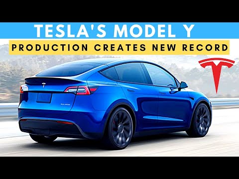 Tesla's Model Y Production Creates New Record & More Updates!