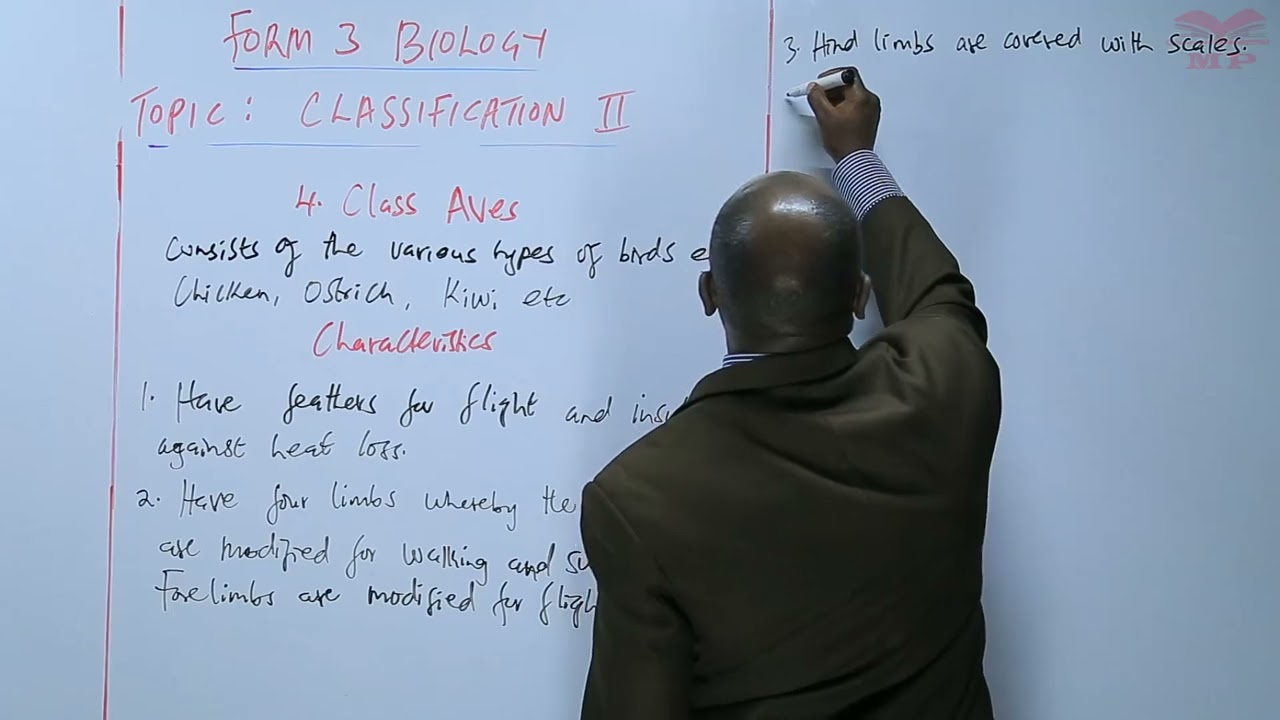 Class Aves - L24
