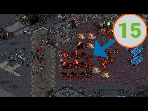 Zerg vs Terran of the YEAR!