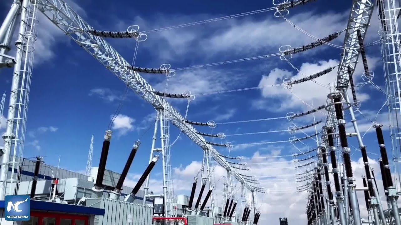 Paneles solares en el desierto impulsan la ecologización y la ganadería en el noroeste de China