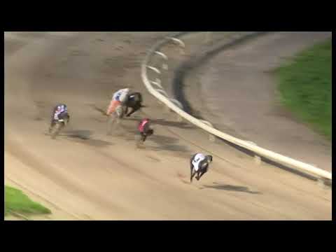 Coolavanny Dylan winning the Ladbrokes.com 264 Final @ Monmore 29/08/20