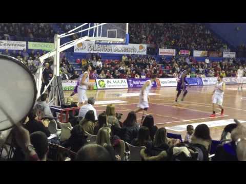 quesos cerrato 78 palma air europa 79