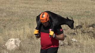 TALAS BELEDİYESİ’NDEN ALİ DAĞI’NA “ALEV KALKANI”