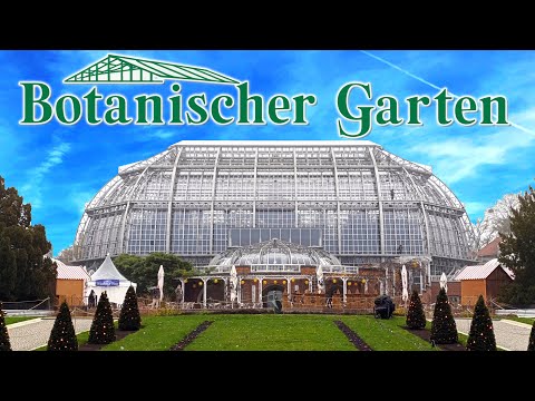 Botanical Garden - Berlin November 2024