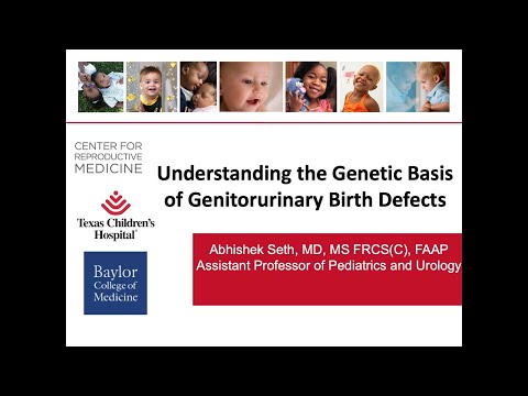 Understanding the genetic basis of urological birth defects