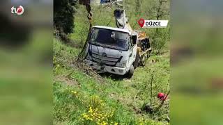Şoförünün Kalp Krizi Geçirdiği Kamyonet, Fındık Bahçesine Devrildi